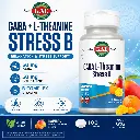 gaba-l-theanine-stress-b-tashkent.webp