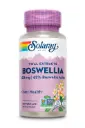 Solaray Vital Extracts Boswellia , 450mg
