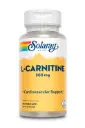 Solaray, L-Carnitine, 500 mg