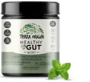 Terra Origin, Healthy Gut™, Mint 7.83 oz (222 g)