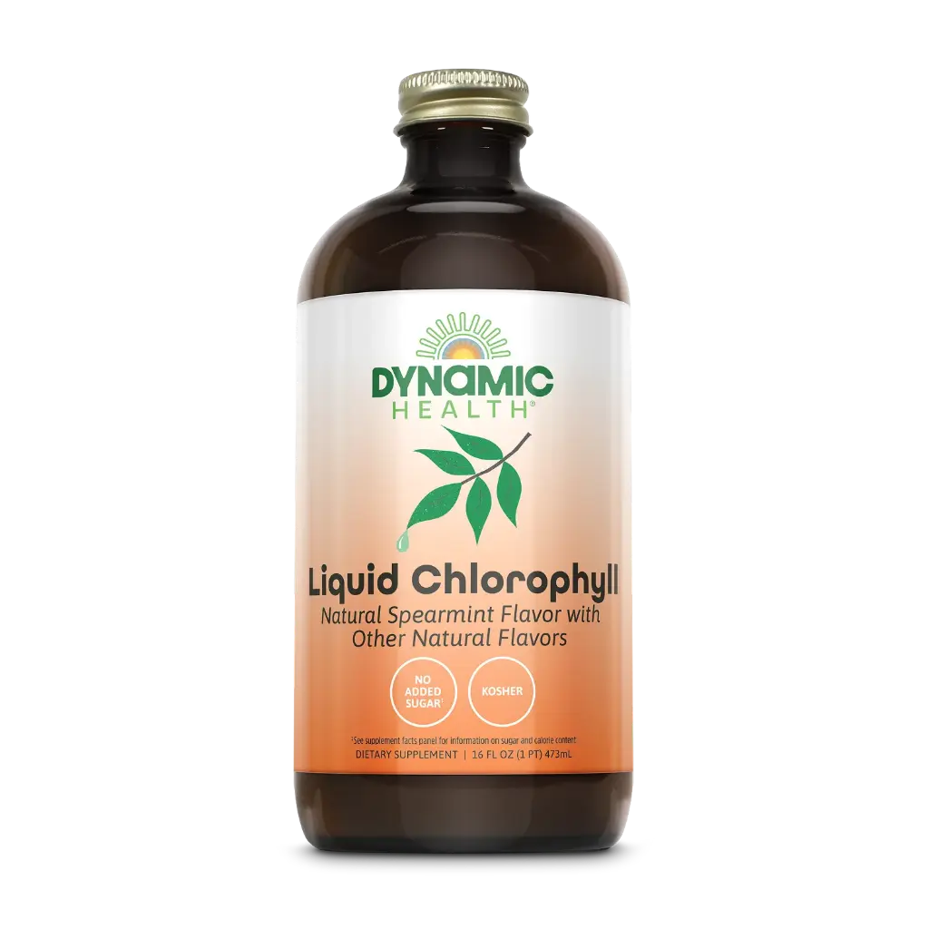 Dynamic Health, Liquid Chlorophyll, Natural Spearmint