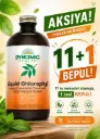 Dynamic Health, Liquid Chlorophyll, Natural Spearmint