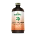 Dynamic Health, Liquid Chlorophyll, Natural Spearmint