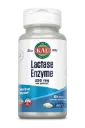 KAL, Lactase Enzyme