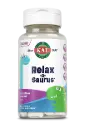 Relax-a-Saurus