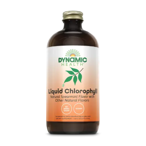 Dynamic Health, Liquid Chlorophyll, Natural Spearmint